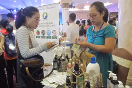 New policy needed for young start-ups