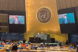 Vietnam stresses settlement of maritime disputes by peaceful measures 