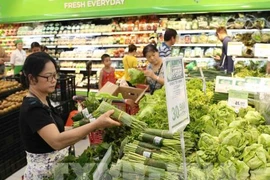 Hanoi says no to plastic bags, disposable plastic products