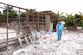 Hanoi's animal health sector well prevents diseases in rainy season