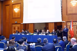 Vietnamese, Czech businesses look to strengthen partnership