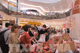 Vietnamese products seek to increase presence in Japanese market