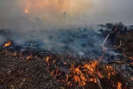 Indonesians’ life expectancy likely to fall due to haze from wildfires