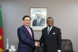 Vietnam wants to boost multi-faceted partnership with Cameroon