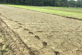 Prime Minister requests urgent actions to cope with drought