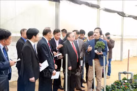 Vietnamese, Lao, Cambodian farmers talk agriculture, rural development 