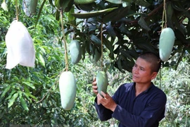 VN asked to enhance quality of farm produce to enter choosy markets