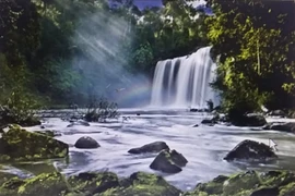 Kbang Tourism Festival 2019 to promote Gia Lai province