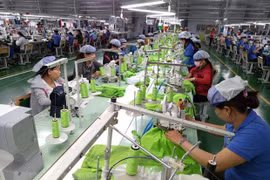 French parliamentarian backs EU-Vietnam free trade agreement