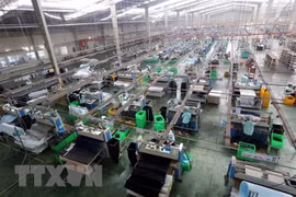 Vietnamese exporters advised to strictly follow origin regulations