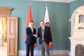 Vietnam, German state intensify cooperation