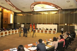 South African press highlights partnership with Vietnam 