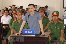 Man in Bac Lieu jailed for spreading anti-State propaganda 