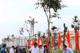 Tree-planting festival greens up localities