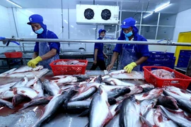 Can Tho’s export revenue grows 13 percent in Q1