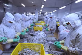 Vietnam continues to enjoy trade surplus with Israel