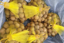 Hanoi’s late-ripening longan exported to Australia