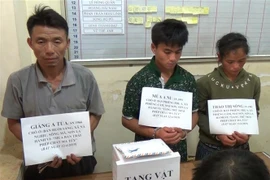 Three arrested with over 7,000 meth pills in Son La