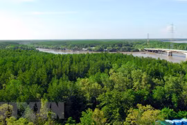 WWF backs forest biodiversity conservation in Thua Thien-Hue
