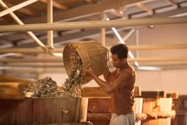 Exporting firms should focus on intellectual property