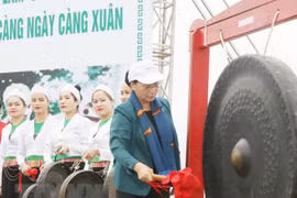Top legislator launches tree planting festival in Hoa Binh