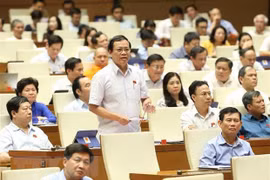 NA deputies vote on three laws, discuss two bills