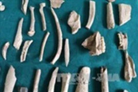 Many artefacts unearthed in Lang Son province