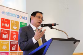 UN has crucial role in Vietnam: diplomat