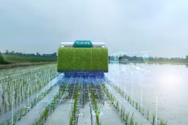 Thailand: Campaign launched to reduce greenhouse gas emissions from rice farming