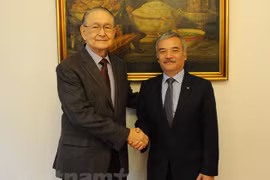 Vietnam undertakes Chair of ASEAN Committee in Mexico City