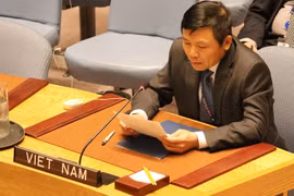 Vietnam calls for training, building UN peacekeeping forces