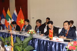 Cities in Mekong lower reaches boost tourism cooperation