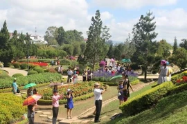 Flower Festival returns to Da Lat in December
