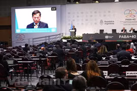 Deputy FM: Vietnam treasures South – South cooperation 
