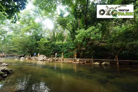 Ozo Treetop Park – new tourism product of Quang Binh 