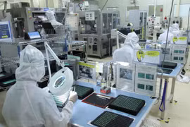 Dong Nai completes FDI attraction target for whole year