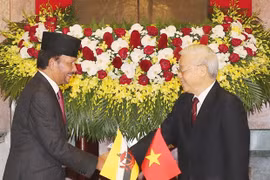 Vietnam, Brunei upgrade ties to comprehensive partnership