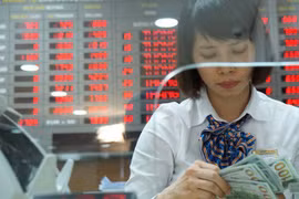 Central bank buys 8.35 billion USD to build foreign reserves