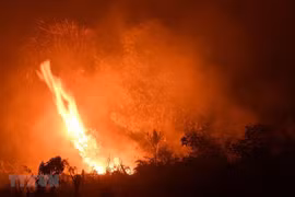 Indonesia forest fires cost 5.2 billion USD in economic losses: WB
