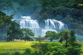 Ban Gioc waterfall festival kicks off in Cao Bang