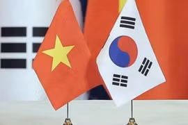 Association contributes to consolidating Vietnam-RoK relations 