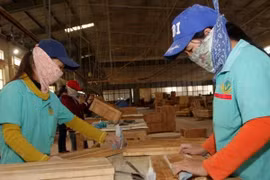 ADB funds over 20 mln USD for women-led SMEs 