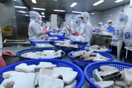 Seminar discusses Vietnam-US trade ties in new context