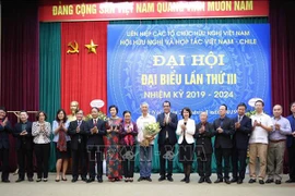 Association works to promote Vietnam-Chile friendship 