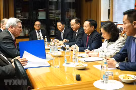Measures sought to better support Vietnamese in Russia
