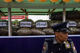 Myanmar seizes large amount of drugs in Shan state