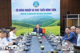 Deputy Minister of Agriculture and Rural Development Phung Duc Tien attends the 46th online meeting of the ASEAN Ministers on Agriculture and Forestry. (Photo: VNA)