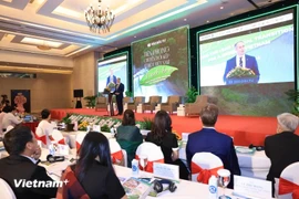 Vietnam has implemented several important strategies on green growth and climate change response, and achieved encouraging results. (Photo: VietnamPlus)