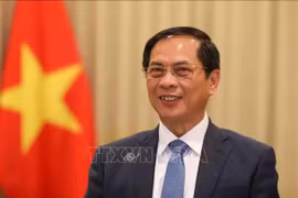 Deputy Prime Minister and Minister of Foreign Affairs Bui Thanh Son. (Photo: VNA)