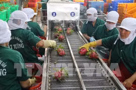 Vietnamese farm produce see big chances in Korean market 